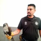 ZOOLOGICO SAHUATOBA DURANGO